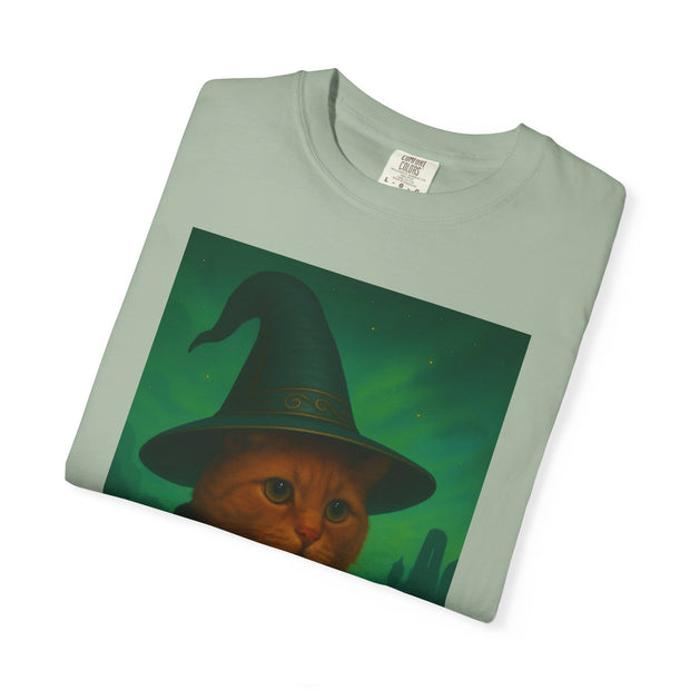 The Lord of the Paws Orange Cat T-shirt