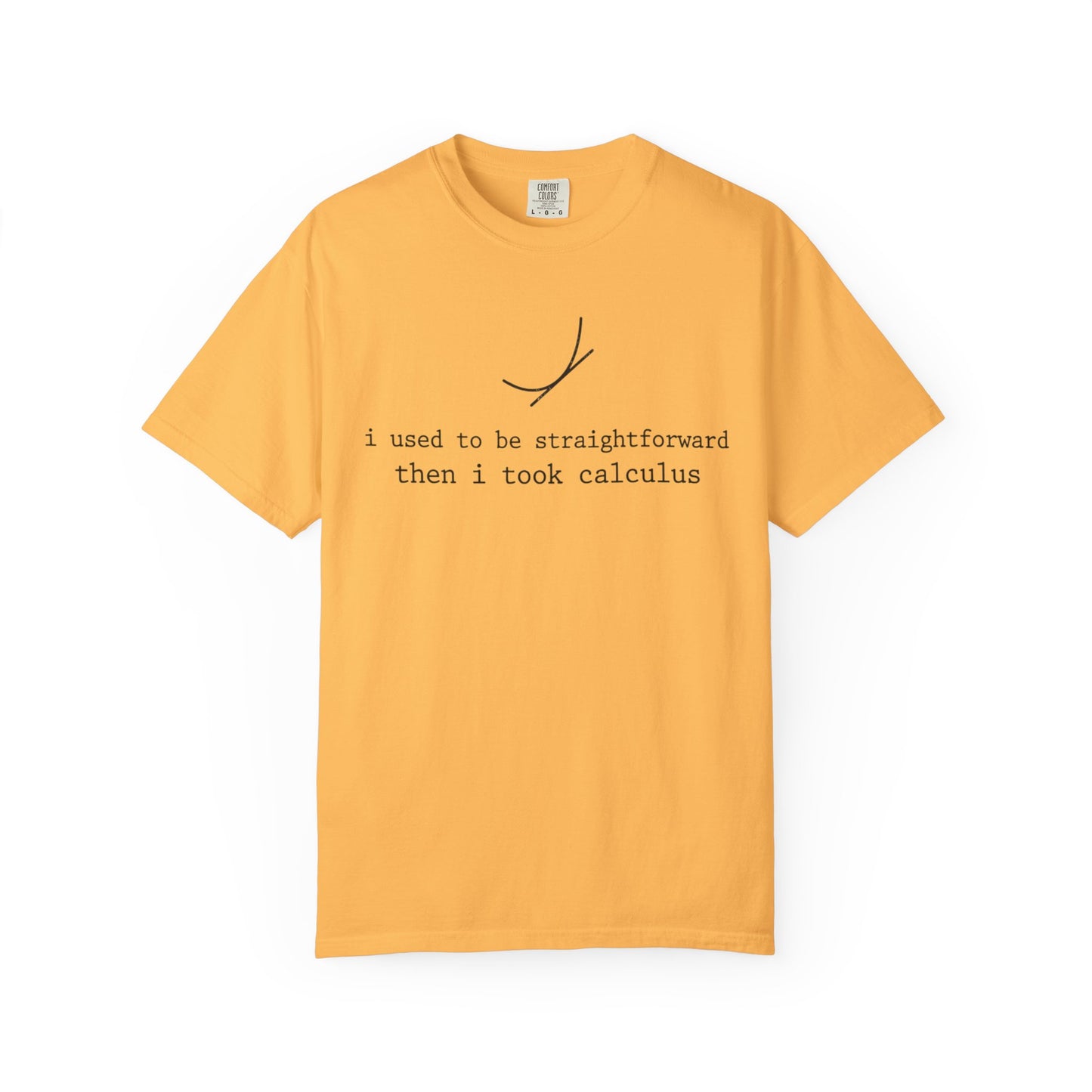 I Used to Be Straightforward Then I Took Calculus T-Shirt, Funny Math Pun Tee, Calculus Student Shirt, STEM Graphic Tee, Math Teacher Gift