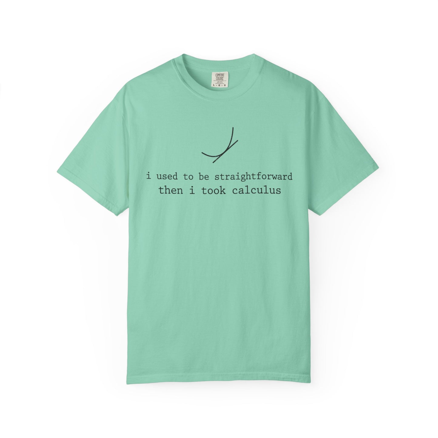 I Used to Be Straightforward Then I Took Calculus T-Shirt, Funny Math Pun Tee, Calculus Student Shirt, STEM Graphic Tee, Math Teacher Gift