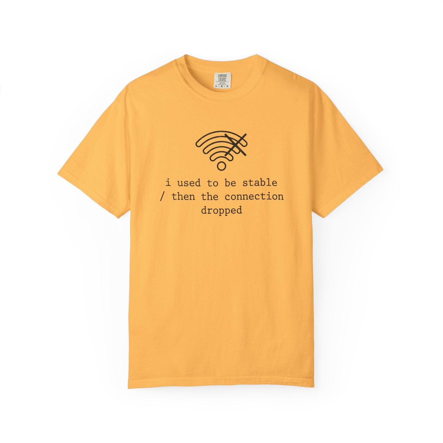 I Used to Be Stable Then the Connection Dropped T-Shirt, Funny WiFi Signal Tee, Tech Humor Shirt, IT Support Gift, Programmer Graphic Tee