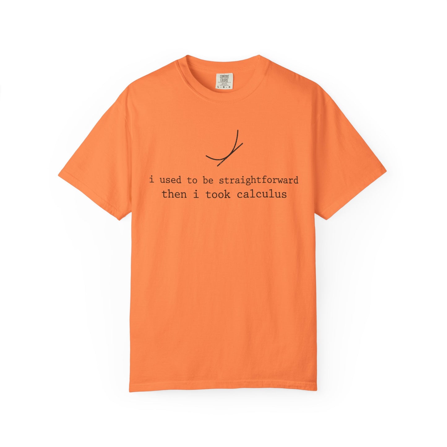 I Used to Be Straightforward Then I Took Calculus T-Shirt, Funny Math Pun Tee, Calculus Student Shirt, STEM Graphic Tee, Math Teacher Gift