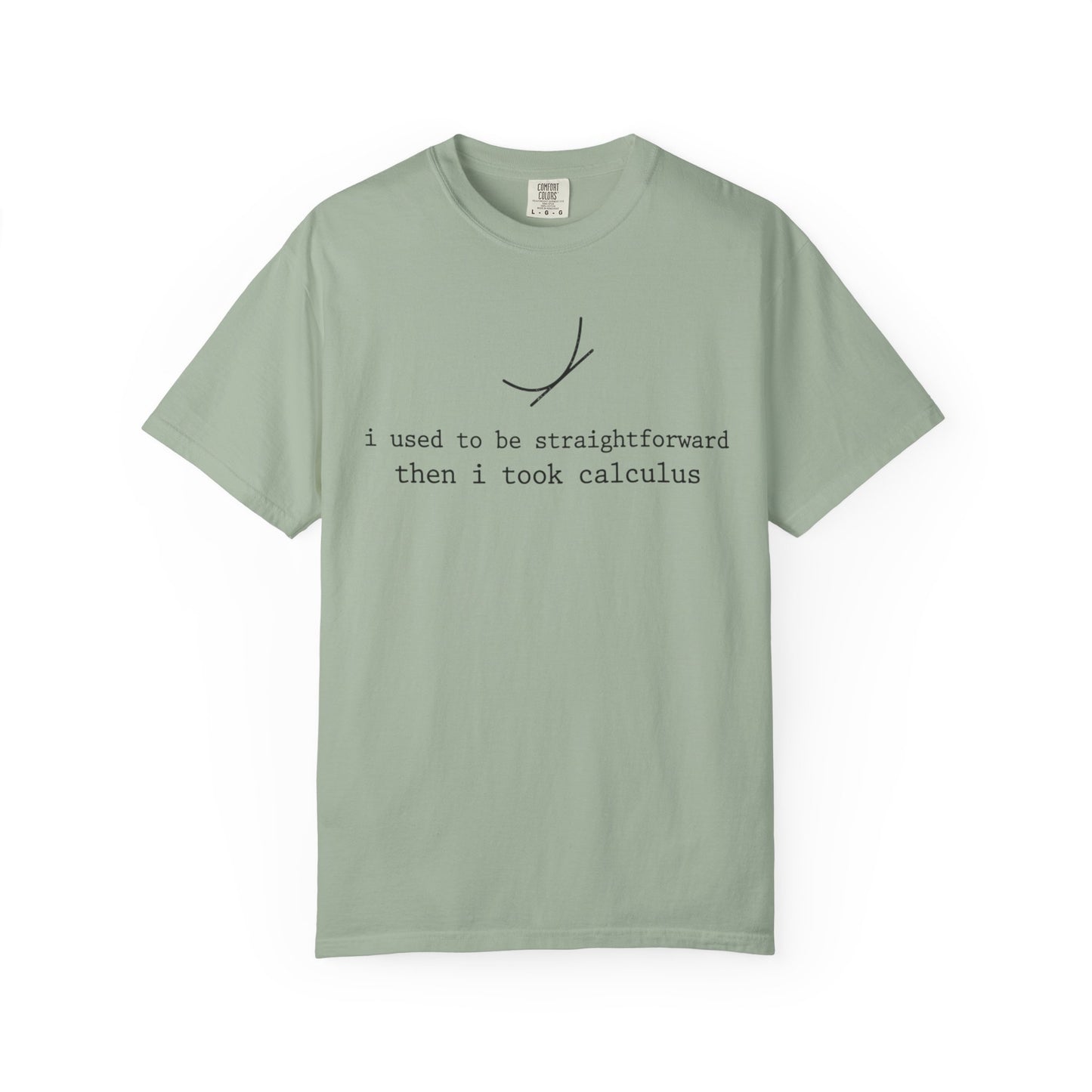 I Used to Be Straightforward Then I Took Calculus T-Shirt, Funny Math Pun Tee, Calculus Student Shirt, STEM Graphic Tee, Math Teacher Gift