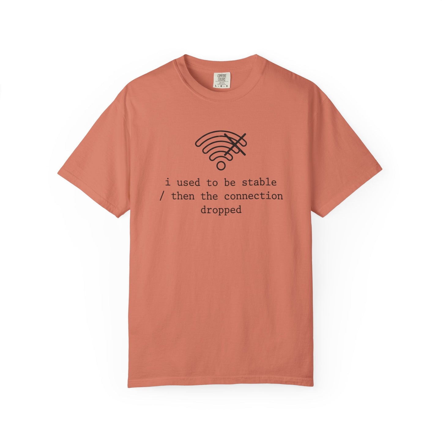 I Used to Be Stable Then the Connection Dropped T-Shirt, Funny WiFi Signal Tee, Tech Humor Shirt, IT Support Gift, Programmer Graphic Tee